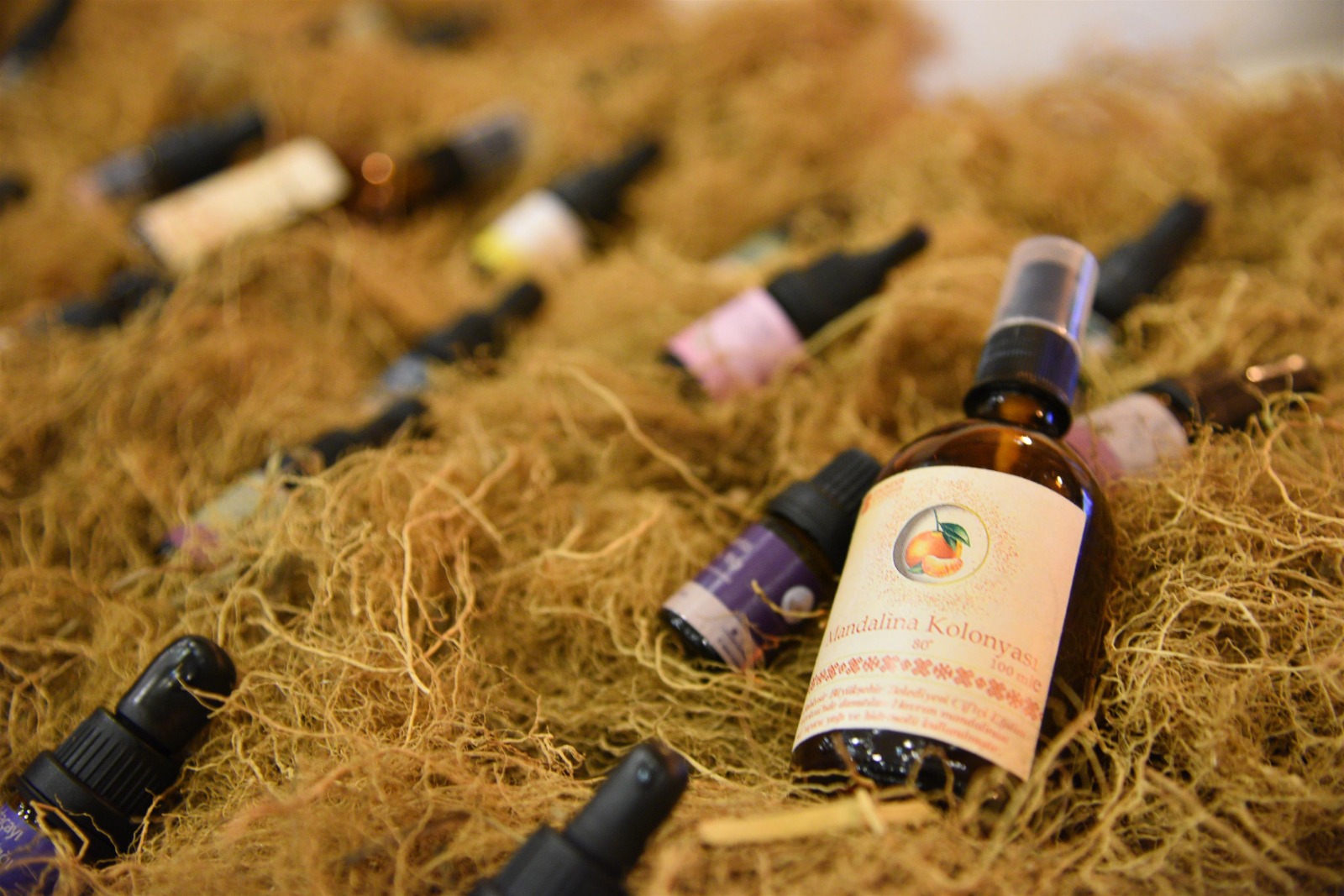 kasim-ayi-1-birlesim-kesinlesen-meclis-karar-ozeti-ilani-duyurusu